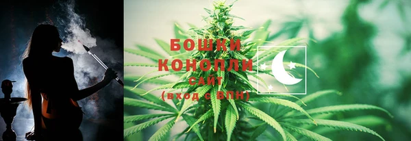 молекула духа Волосово