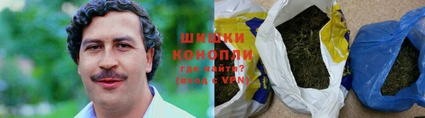 молекула духа Волосово