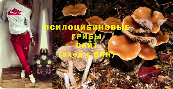 молекула духа Волосово
