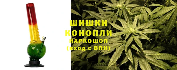 молекула духа Волосово