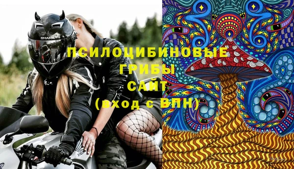 молекула духа Волосово